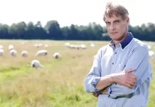 Niemiec walczy z firmą wartą miliardy euro: Hodowca owiec odrzuca 1,5 miliona euro za swoją łąkę