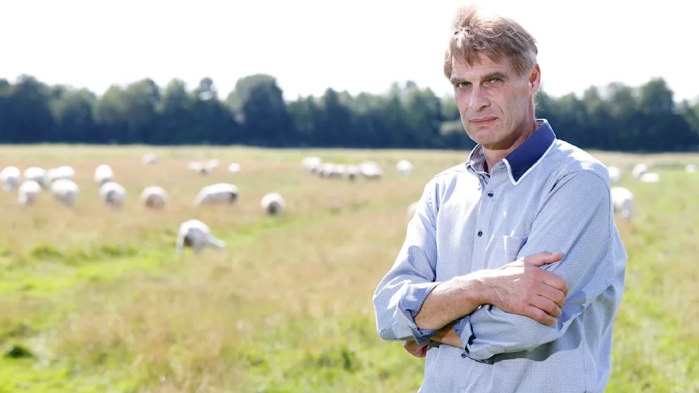 Ein Deutscher kämpft gegen ein milliardenschweres Unternehmen: Ein Schafzüchter lehnt 1,5 Millionen Euro für seine Wiese ab