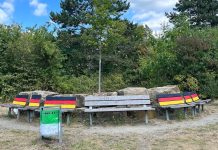 Nad jeziorem w Helmstedt pomalowano ławki barwami niemieckiej flagi — miasto zapowiada kosztowne czyszczenie