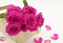 Niemieckie kwiaciarnie internetowe – oto najlepsze z nich!