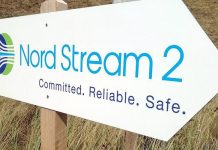 AfD żąda 50 mln euro nagrody za śledztwo w sprawie ataków na gazociąg Nord Stream