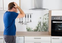 Kiedy i o ile można w Niemczech obniżyć czynsz z powodu pleśni w mieszkaniu?