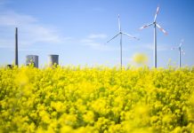 Niemcy: Czy cena prądu będzie zależna od warunków pogodowych?