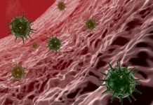 Prezes Światowego Stowarzyszenia Medycznego ostrzega: „Warianty koronawirusa równie niebezpieczne jak Ebola”