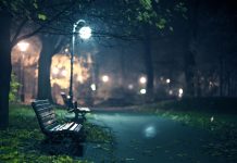 Niemcy: „Nocne spacery” w Emsland — bezpieczne spacery po zmroku dla kobiet