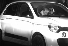 Niemcy: Pies uratował swojego właściciela przed mandatem za zbyt szybką jazdę