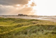 Czy w Niemczech można zostać zwolnionym podczas urlopu? Odpowiadamy na najważniejsze pytania