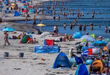 Meklemburgia-Pomorze Przednie: 68-letni mężczyzna zmarł po zakażeniu bakteriami Vibrio w Morzu Bałtyckim