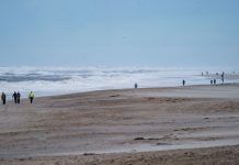 Sylt: Pieszy znalazł na plaży 25 kilogramów kokainy