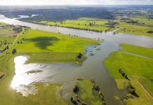 Zmiany klimatyczne mają poważne konsekwencje dla Niemiec