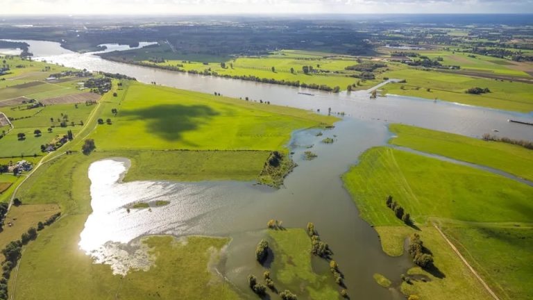 Zmiany klimatyczne mają poważne konsekwencje dla Niemiec