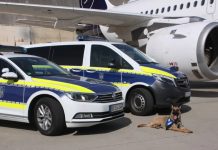 Celnicy z Frankfurtu przejęli 10 ton narkotyków i milion podróbek