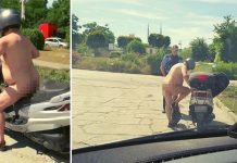 Tymczasem podczas kontroli drogowej w Brandenburgii…