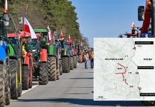 Polscy rolnicy zablokują w niedzielę najważniejsze przejście graniczne z Niemcami!