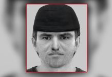 Niemcy: Kierowca ciężarówki zaatakował 31-latkę i próbował ją zgwałcić w polu kukurydzy. Policja szuka świadków