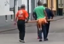 Poruszenie w niemieckim internecie: Mężczyźni nieśli przez centrum miasta przebite zwierzę