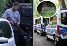 Trwają poszukiwania lwicy w Berlinie. Zwierzę może zostać odstrzelone… Są jednak inne scenariusze!