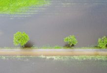 Powodzie niszczą plony wielu gospodarstw w Niemczech. Ostrzeżenie przed kolejnymi burzami