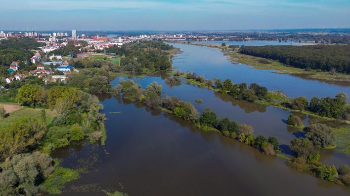 Powodzie w Brandenburgii: Najwyższy poziom alarmowy osiągnięty na Odrze