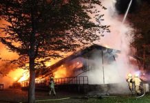 Niszczycielski pożar w Britzer Garten powoduje wielomilionowe szkody