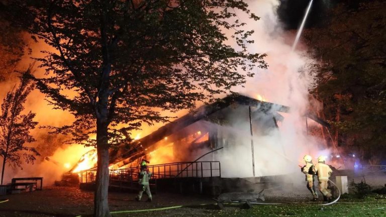 Niszczycielski pożar w Britzer Garten powoduje wielomilionowe szkody