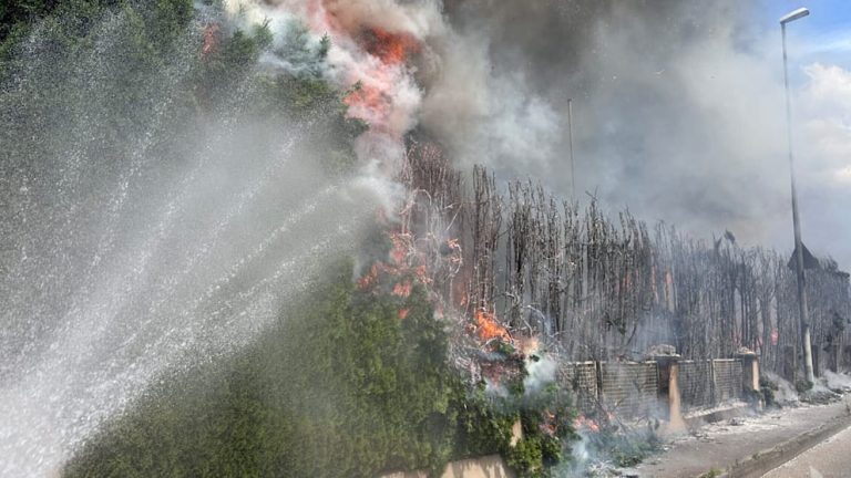 Niemcy: Grill w ogrodzie zakończył się pożarem i trzema osobami w szpitalu