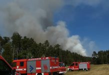 Niemcy walczą z ogniem: Siedem pożarów lasów w Brandenburgii, ewakuacje i setki strażaków w akcji