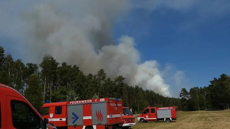 Niemcy walczą z ogniem: Siedem pożarów lasów w Brandenburgii, ewakuacje i setki strażaków w akcji