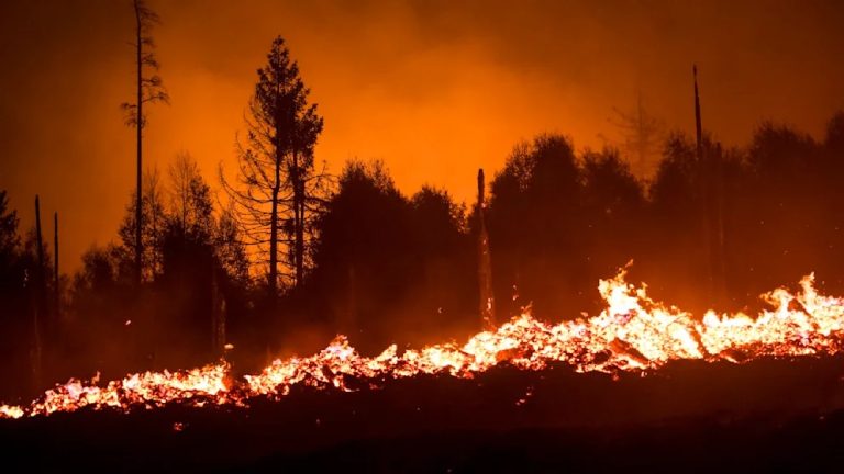 Katastrofalny pożar lasu w Niemczech: stan wyjątkowy w Turyngii