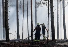 Pierwszy duży pożar lasu w Niemczech: Brandenburgia zmaga się z ogniem i suszą