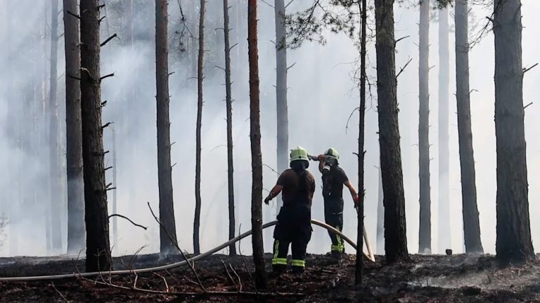 Pierwszy duży pożar lasu w Niemczech: Brandenburgia zmaga się z ogniem i suszą