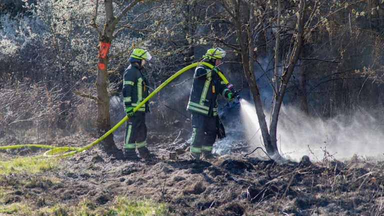 Ogromny pożar w Hesji: płonęło 30 000 m² lasu