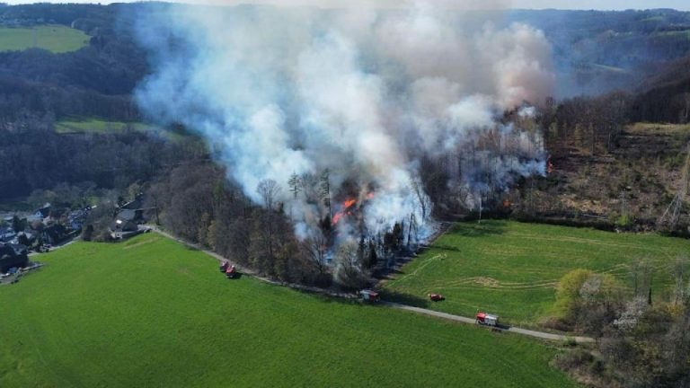 W Niemczech znów płoną lasy
