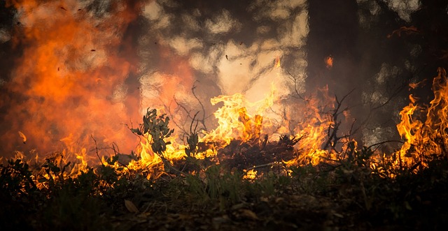 Pożar lasu w Meklemburgii-Pomorzu Przednim zajmuje już 600 hektarów – do akcji wkracza Bundeswehra!
