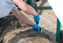 Praca sezonowa w Niemczech – najważniejsze informacje dla Polaków!