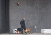 Poważne zarzuty wobec pracowników więzienia w Bawarii: Więźniowie byli maltretowani