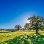 Prognoza pogody na nadchodzące lato jest przerażająca!