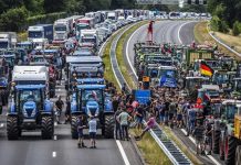 Protesty rolników w Niemczech sparaliżują miasta i autostrady: oto gdzie jutro odbędą się strajki!