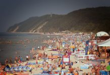 Przecinkowce w Morzu Północnym i Bałtyckim: Oto jakie są objawy zakażenia