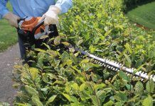 Niemcy: Nawet do 100 000 euro kary za przycięcie żywopłotu!