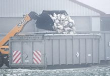 W Badenii-Wirtembergii wybuchła ptasia grypa: Władze zabijają 50 000 indyków