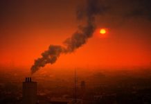 Rząd Niemiec uchwalił nową ustawę o ochronie klimatu! Niższe koszty dla najemców