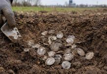Poszukiwacz-amator dokonał sensacyjnego odkrycia na polu pod Kolonią. To największy taki skarb w Niemczech! Rzymskie srebrne monety odkryte w ziemi na polu pod Kolonią