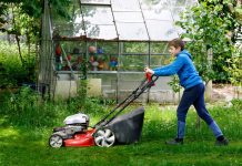 Praca dla uczniów w Niemczech: od jakiego wieku można się zatrudnić? Popularne zawody i porady jak zdobyć pracę