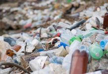 Koniec żółtych worków i nowe zasady segregacji. Niemcy szykują rewolucję w gospodarce odpadami od 2026 roku