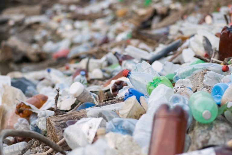 Koniec żółtych worków i nowe zasady segregacji. Niemcy szykują rewolucję w gospodarce odpadami od 2026 roku