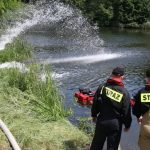 Śnietę ryby w Odrze-min