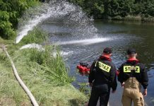 Martwe ryby w Odrze: Polska zwołuje zespół kryzysowy