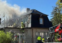 Niemcy: Prawie 70 szczeniąt i kociąt uratowanych z płonącego domu. Podejrzenie nielegalnej hodowli