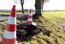 Dolna Saksonia: Samochód elektryczny zapalił się po wypadku – dwie osoby nie żyją